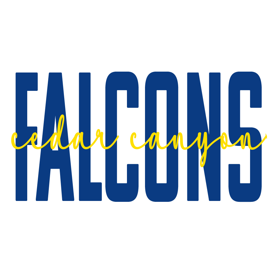 fun and trendy designs for spirit wear