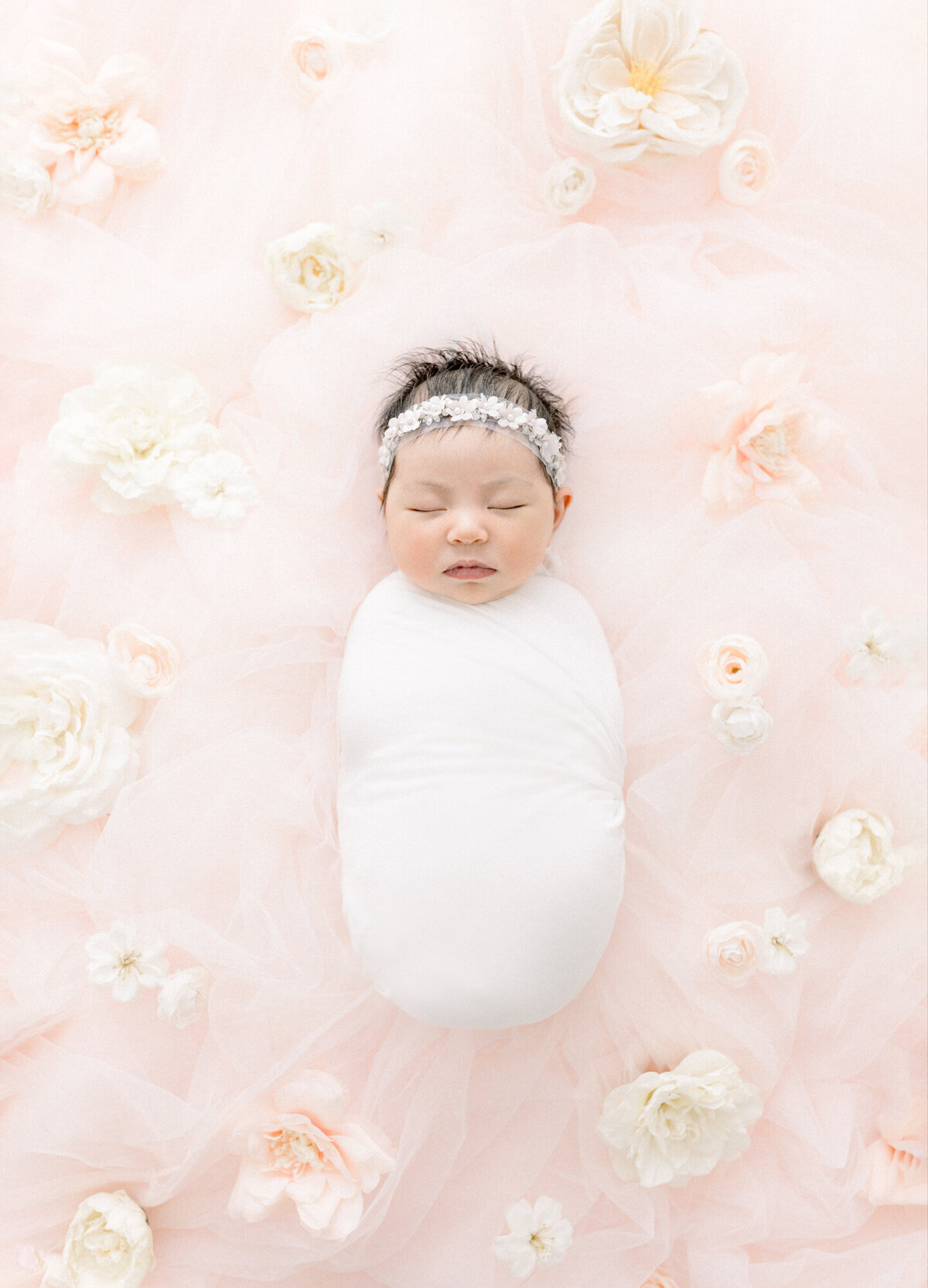 Newborn Photography Las Vegas