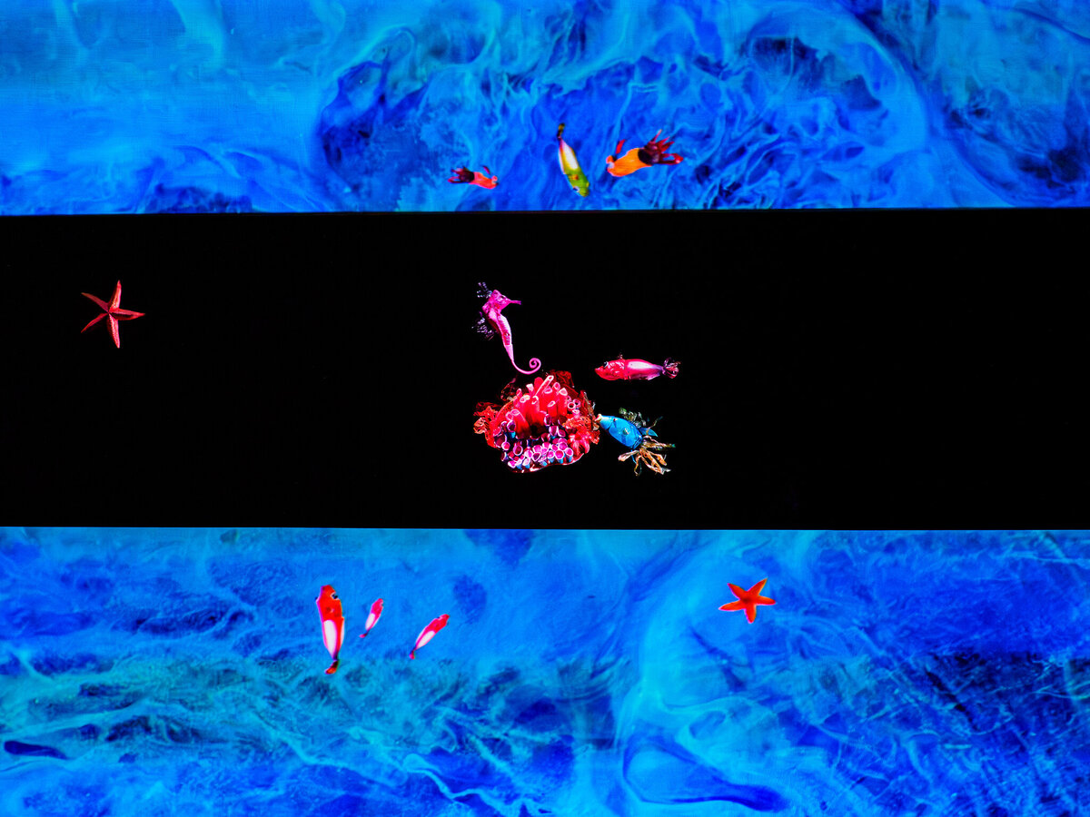 ONE Ecriture et mise en scène Cyrille Louge-04