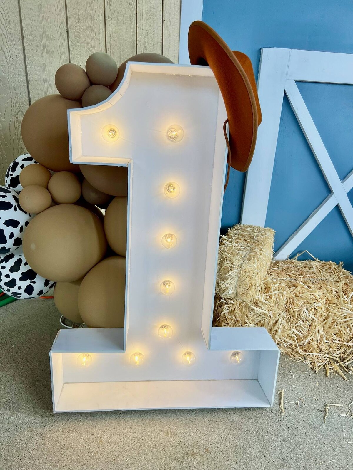 cowboy-farm-themed-party-kids-erie-co (1)