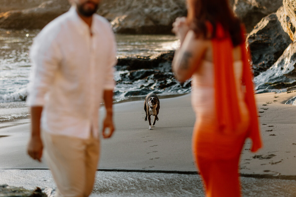 J+T_ENGAGEMENT-PREVIEW_KAYLAESPARZAPHOTOGRAPHY-104