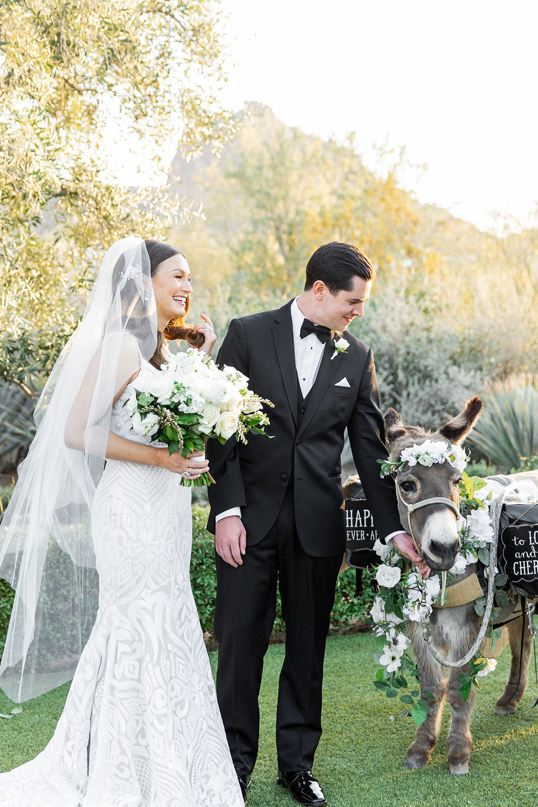 Karlie Colleen Photography - Hannah & Matt - El Chorro Wedding_ Paradise Valley Arizona - Revel Wedding Company-197
