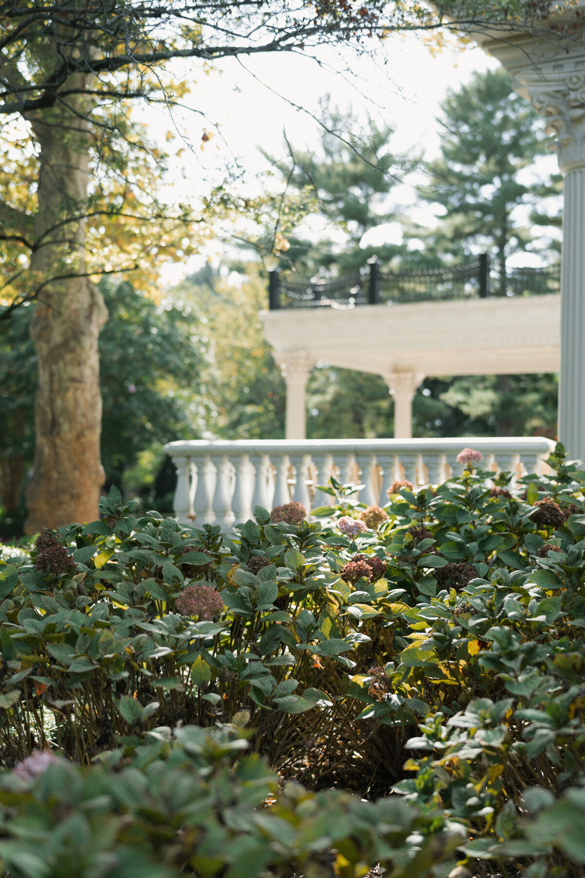 Grace & Ardor Co. East Coast Wedding Engagement Photography Pennsylvania New York City New Jersey Philadelphia Timeless Bold Art Direction Editorial Erin McGeever Ashford Estate Fall-4
