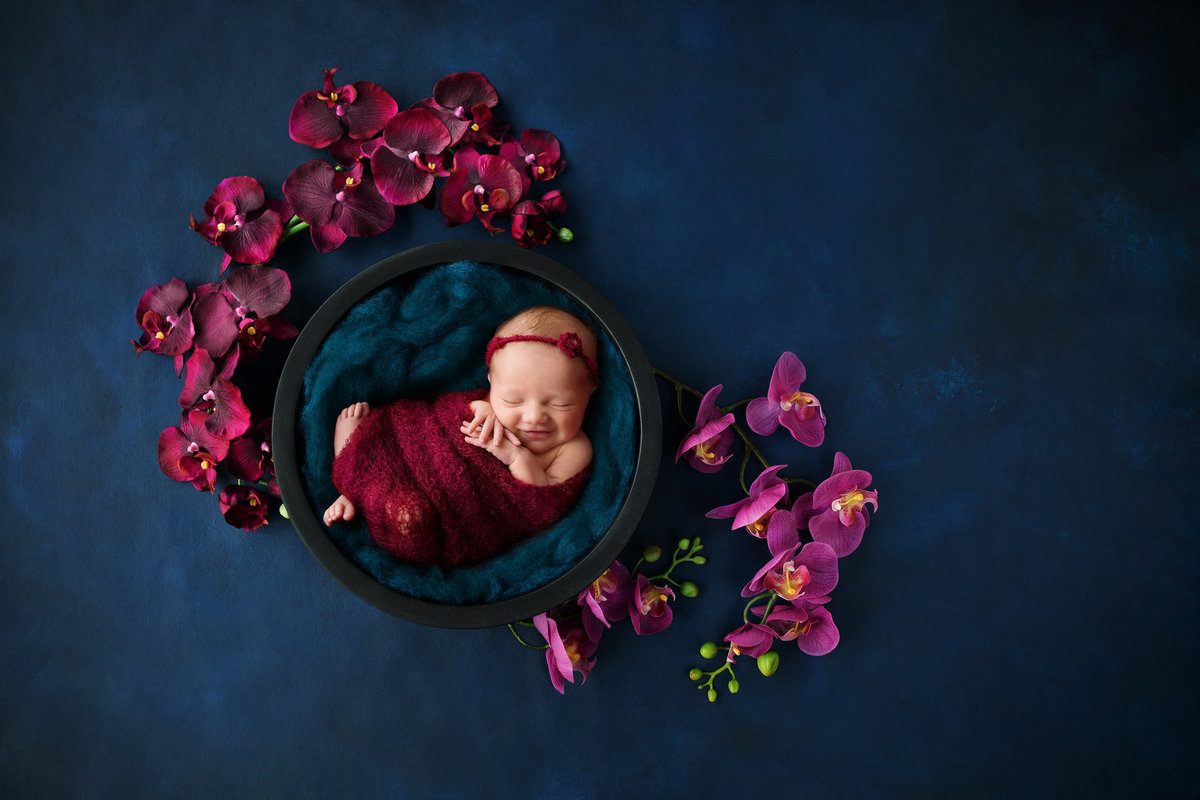 newborn in flowers263