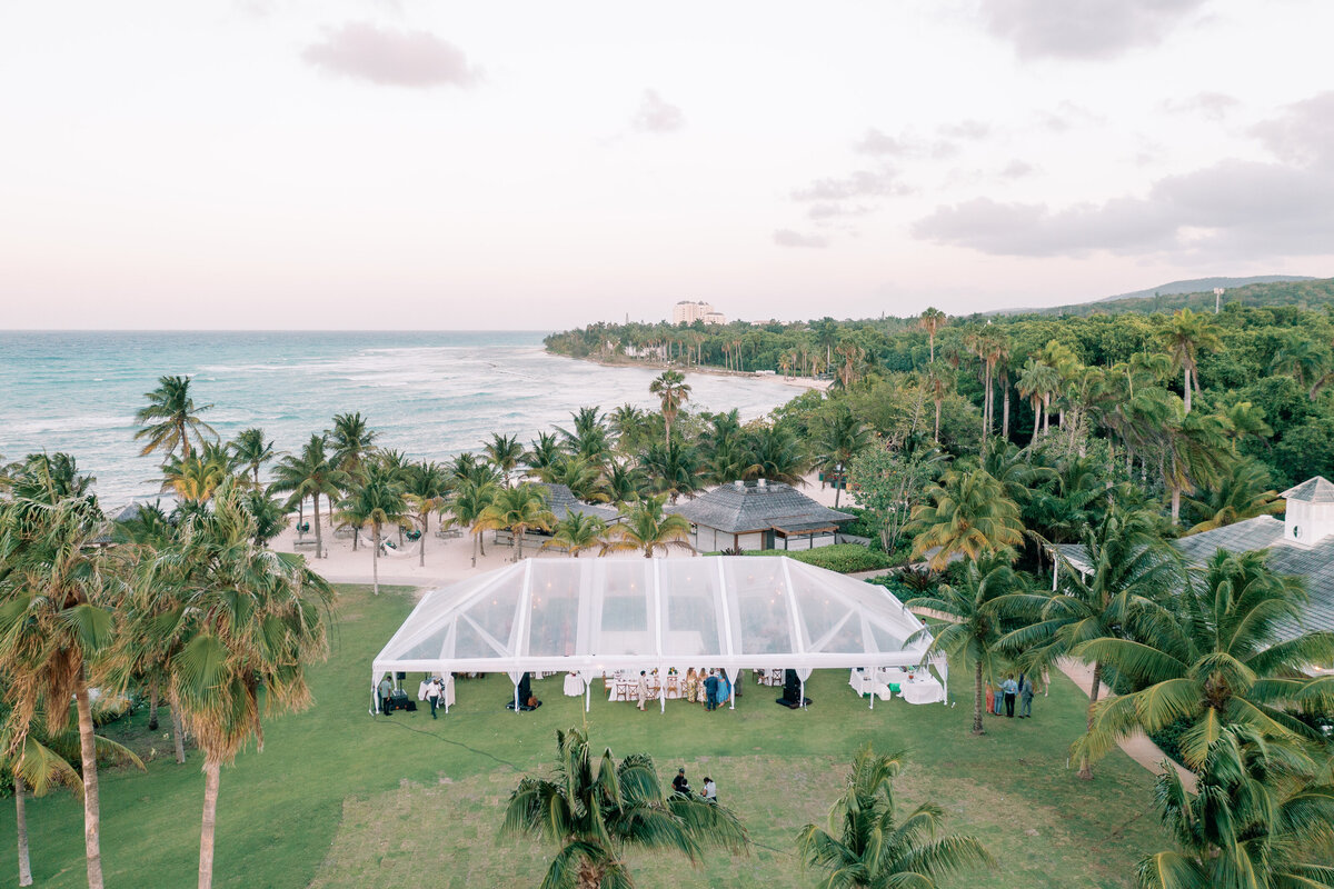 The Fourniers | McMullen Wedding - Reception-13