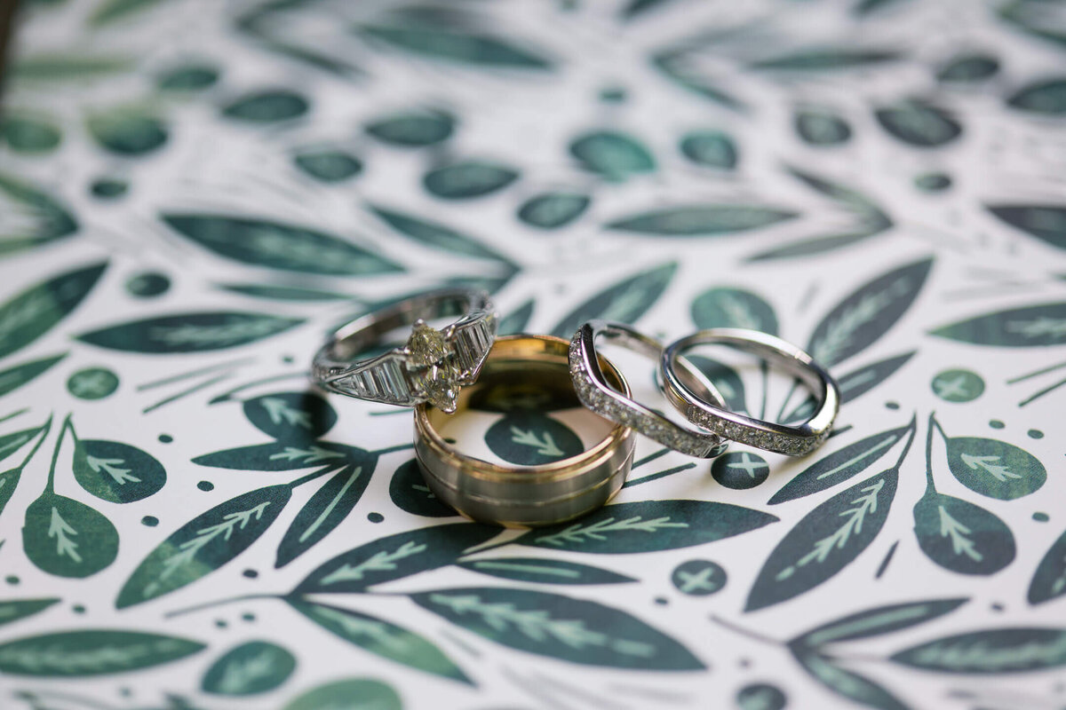 Old-Edwards-Inn-Wedding-7