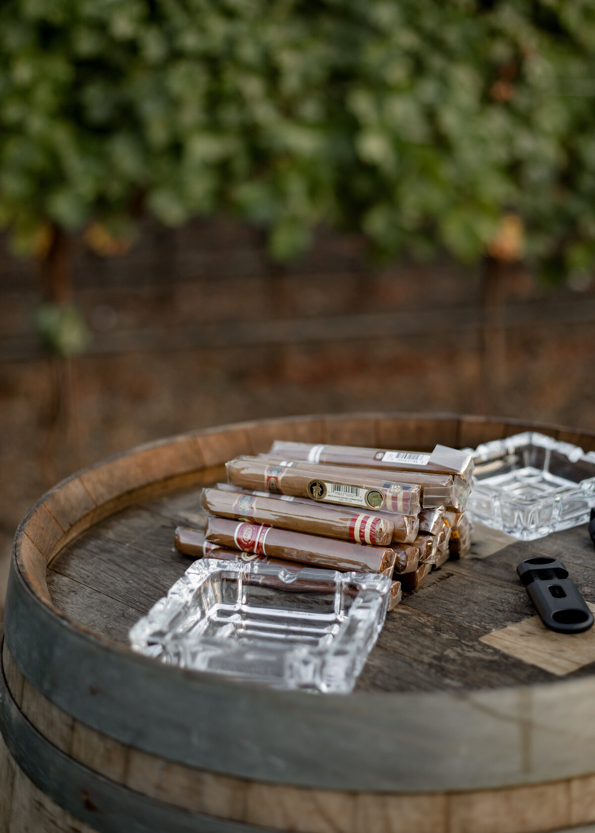 09232021_Meghan&GeoffWedding_TrePostiNapaCA_AnjaJensenPhotography-324