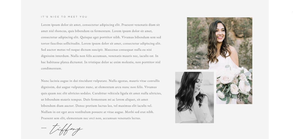 classic-elegant-2-website-template-hampton