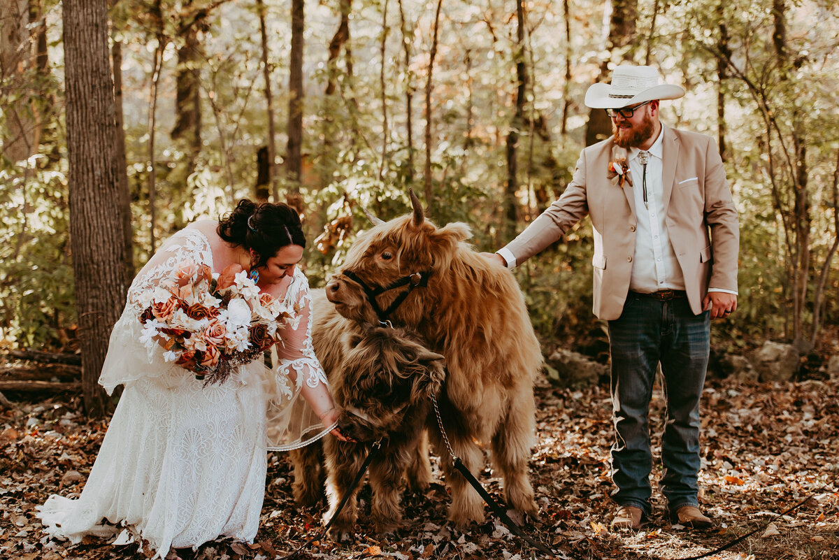Toledo Outdoor Tent Wedding