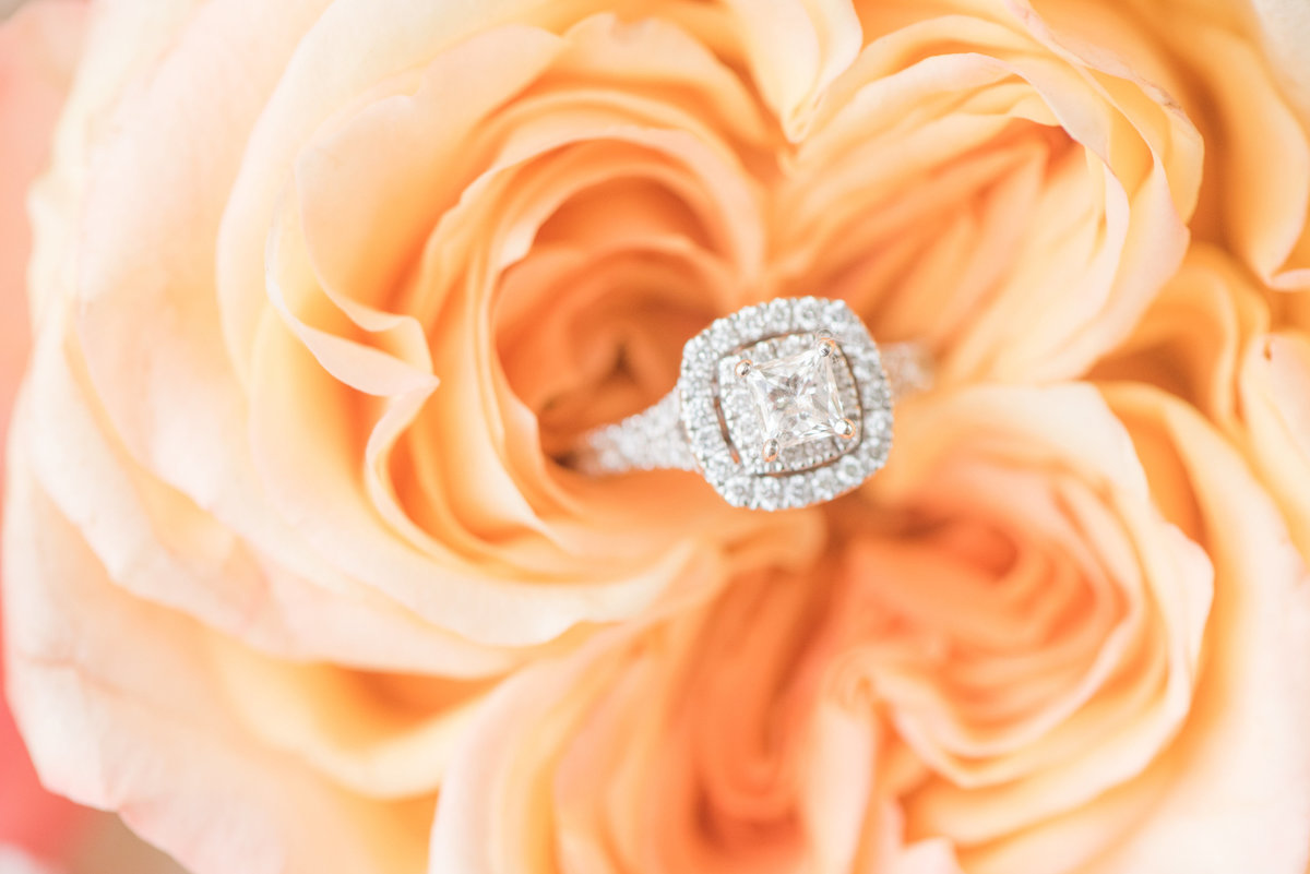 EscamillaWedding0069