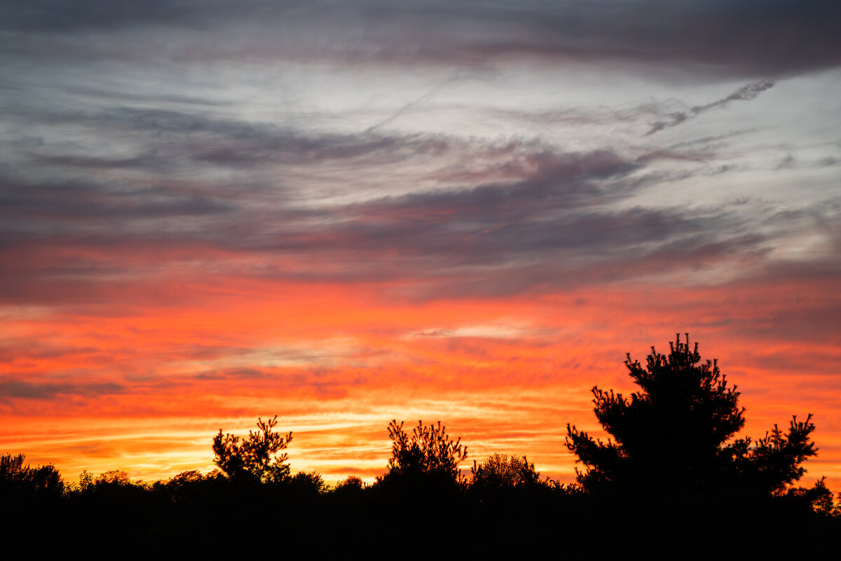 PINEY_BRANCH_WEB_MM-0214