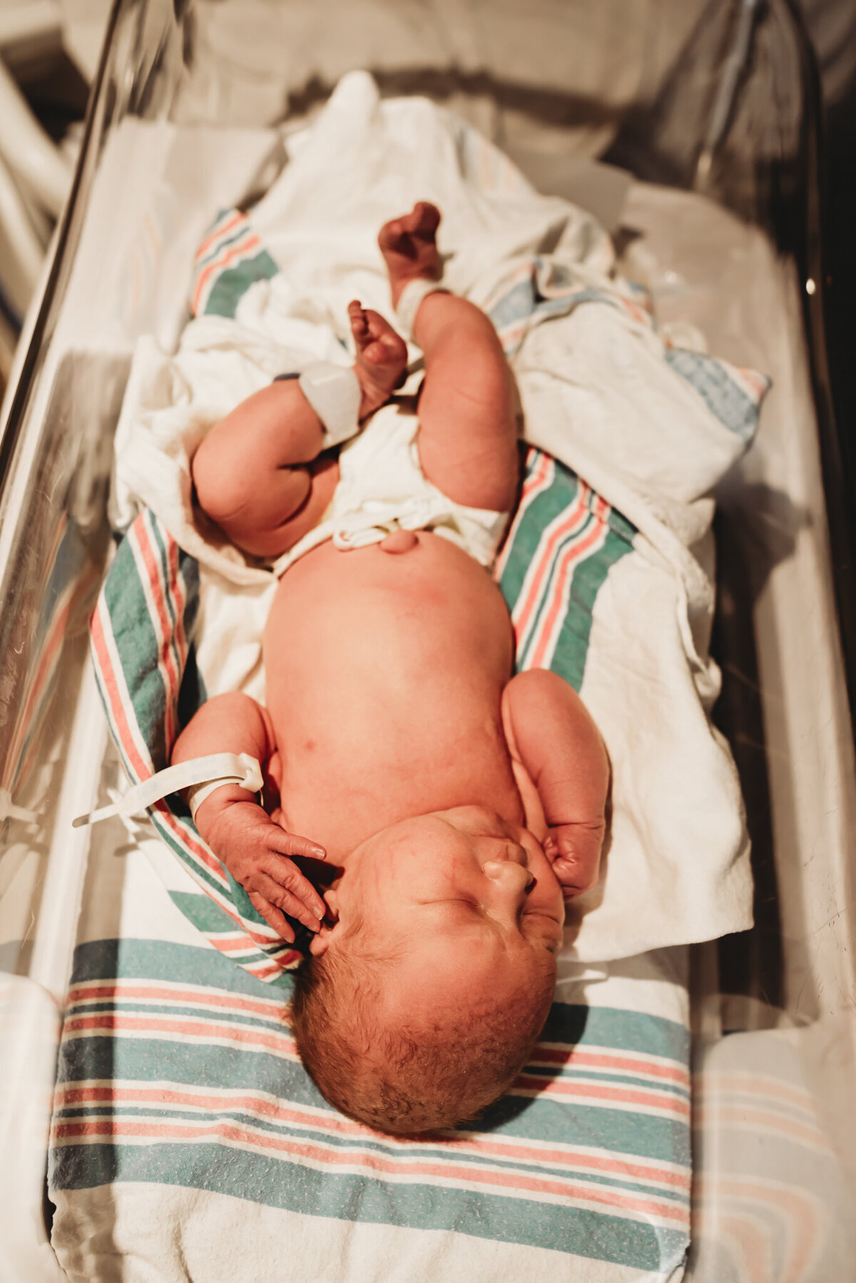 flyinghorse-fresh48-bismarck-fresh48-15 (1)