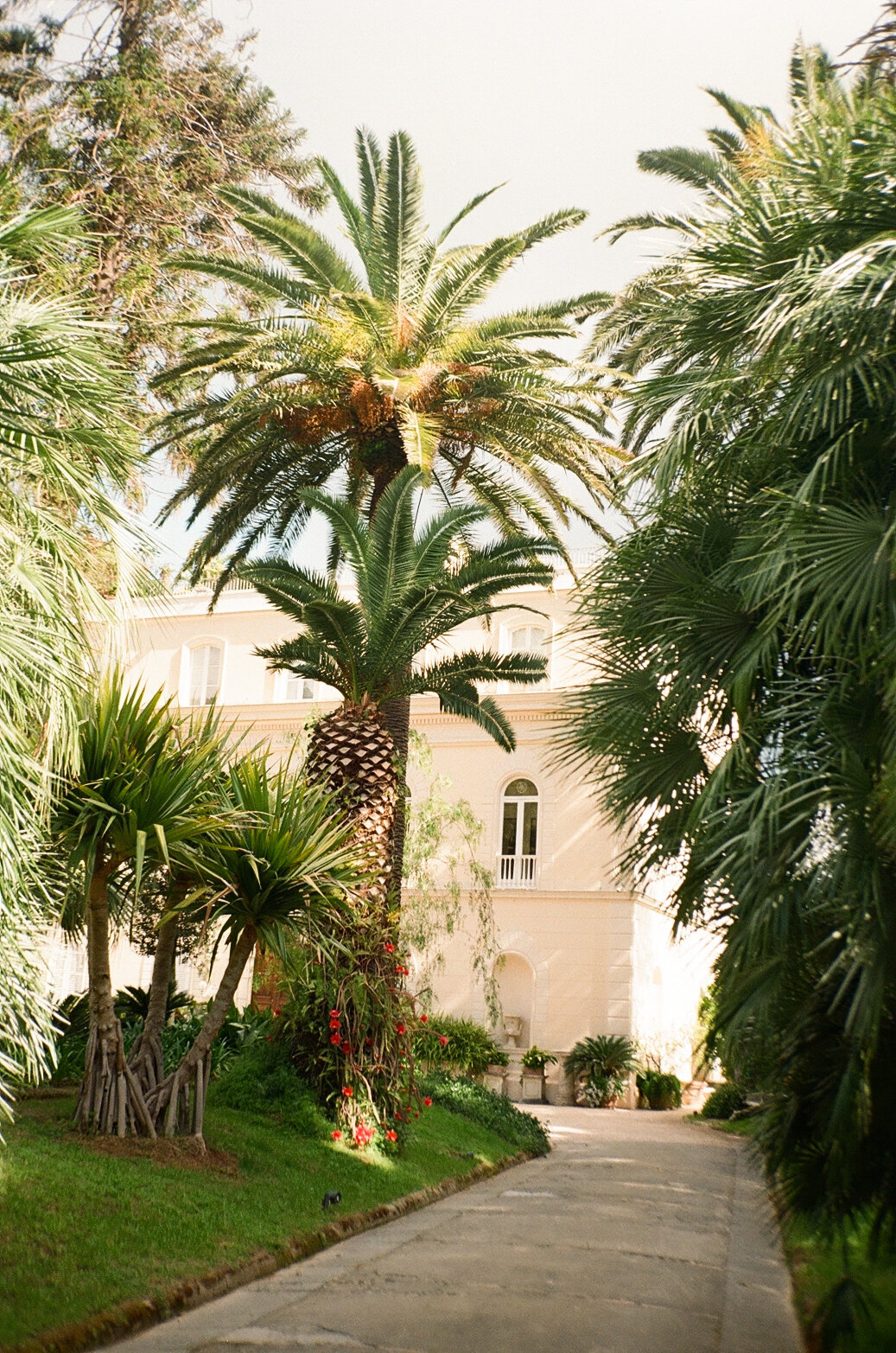 villa-astor-editorial-suzy-anderson-photo-47_websize (1)