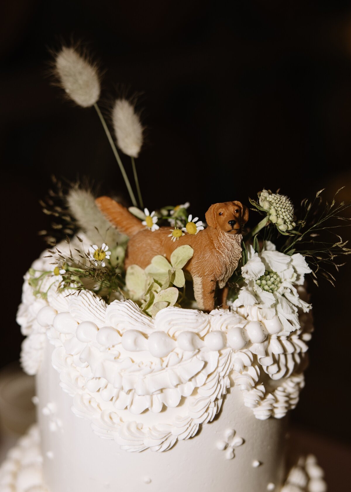 TaylorToYouEvents-SanDiego-Weddings-41
