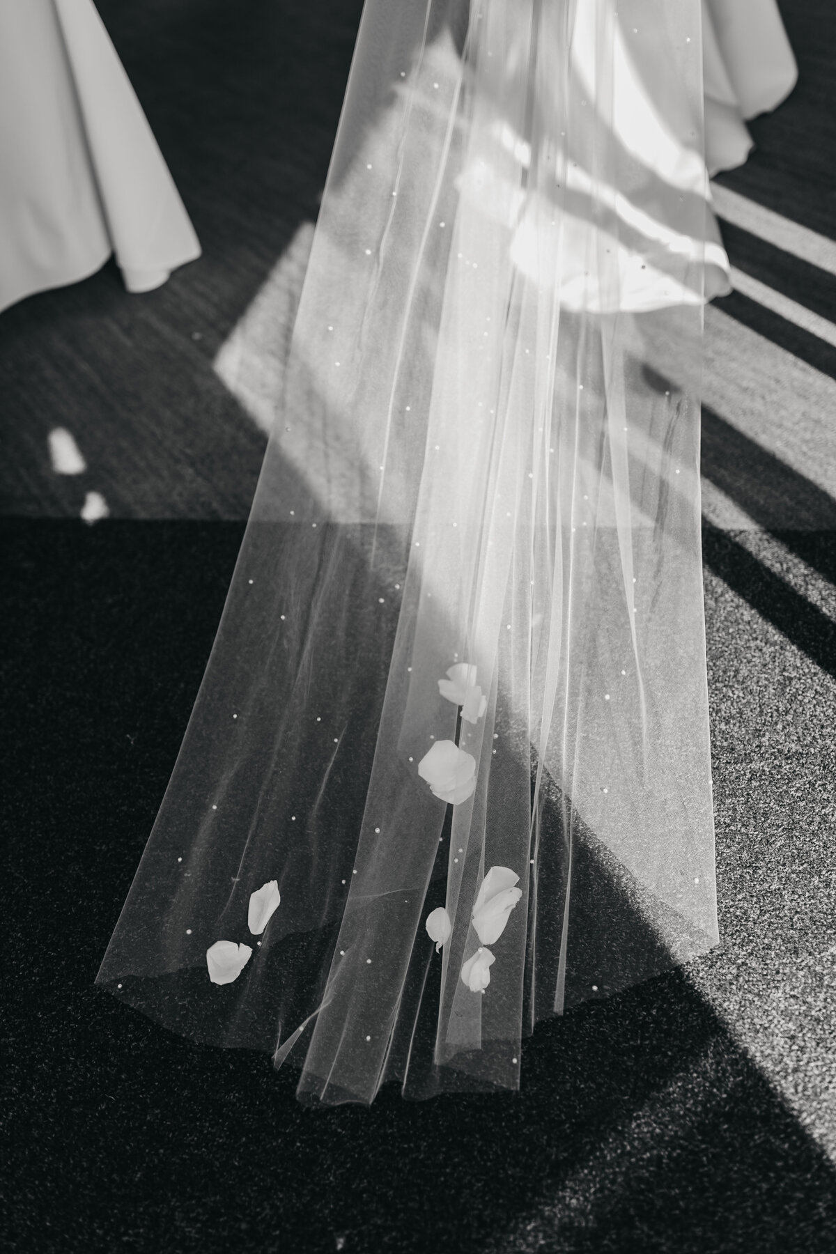 sjb-sarah-jane-bradley-photography-east-coast-wedding-photographer-187