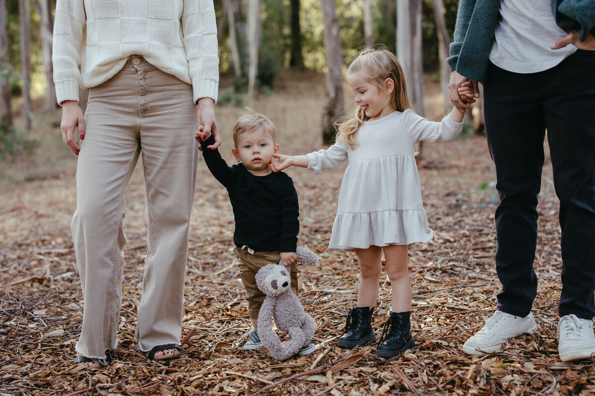 A beautiful family photoshoot at Jack London State Park