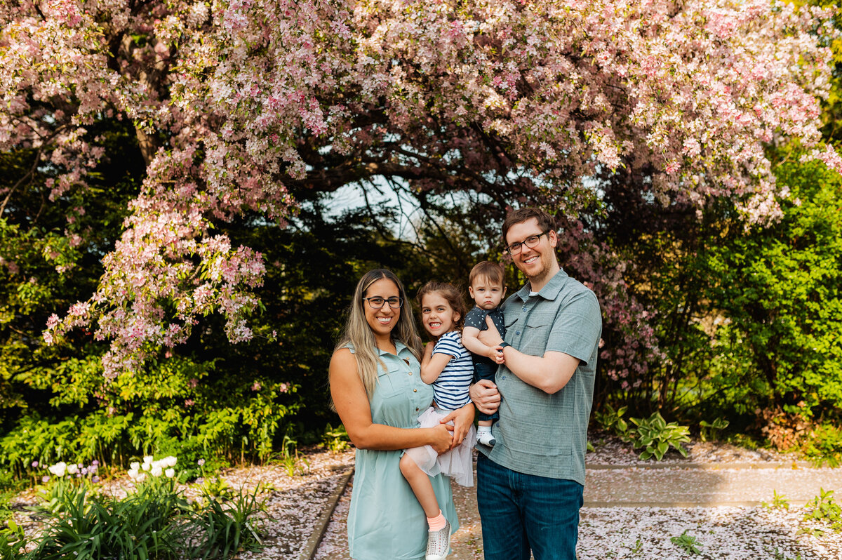 Family standing under pink cherry blossoms during Ottawa spring mini session.