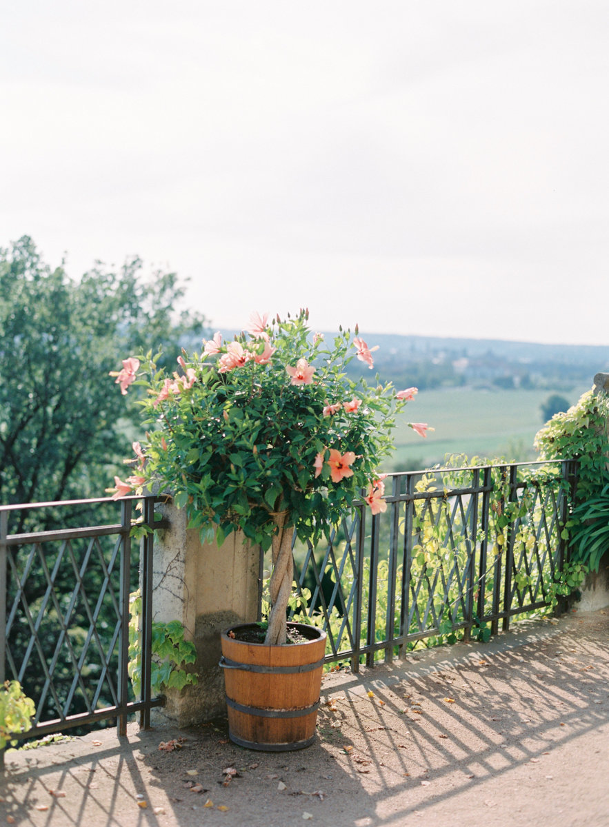 Romina Schischke Photography Wedding Slideshow Image 06