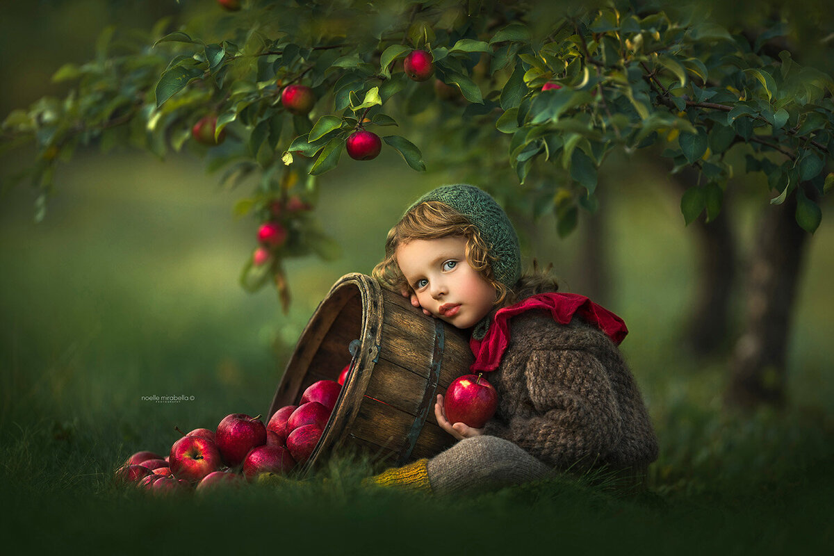 Child leaning on bucket of tipped apples in apple orchard.
