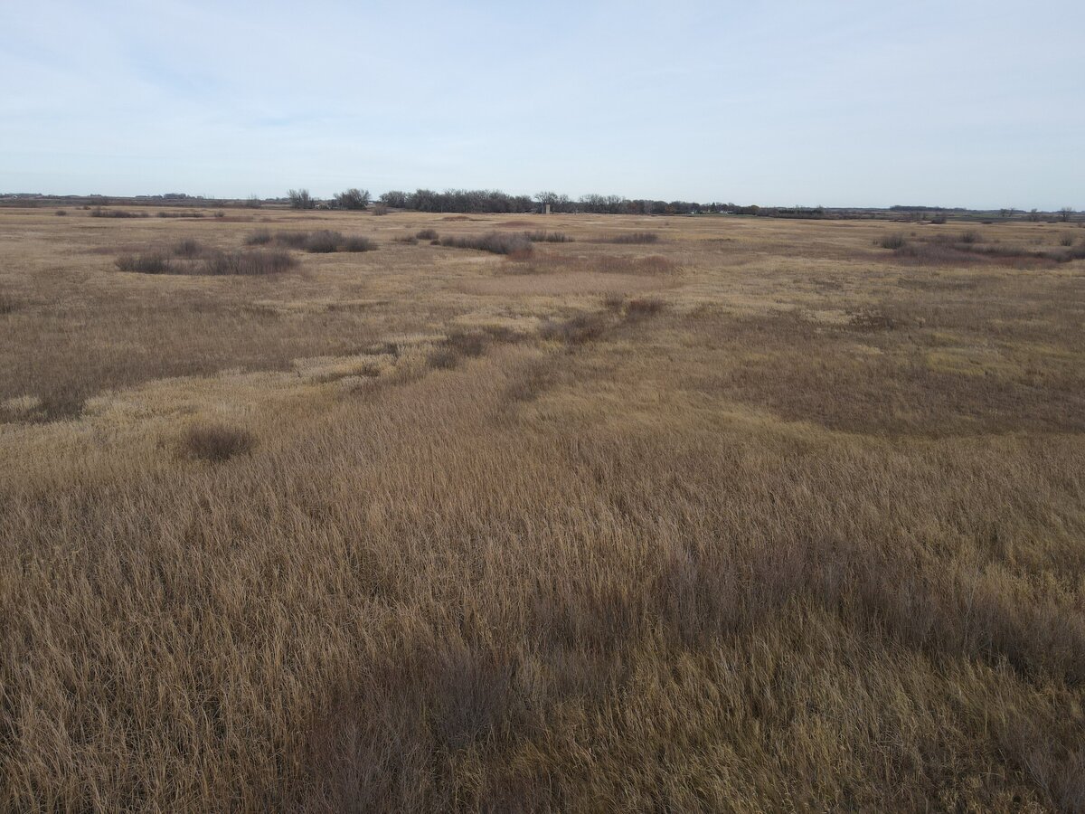 DJI_0156