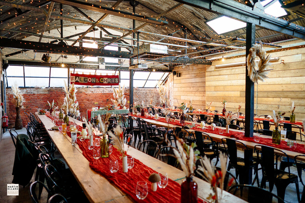 falcon-chris-0375 (1)