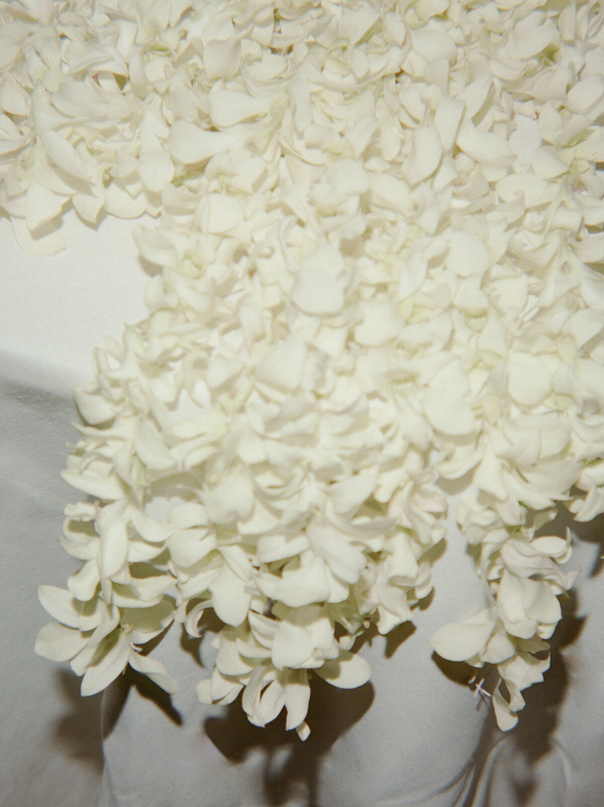 white orchid floral details documented on film for a State Savings Bank wedding in Detroit