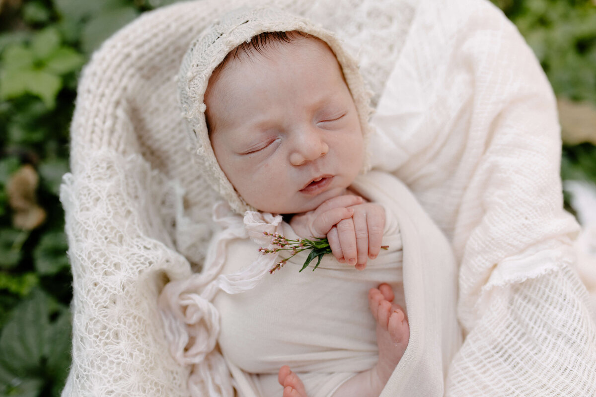 hudson-valley-newborn-photographer-01