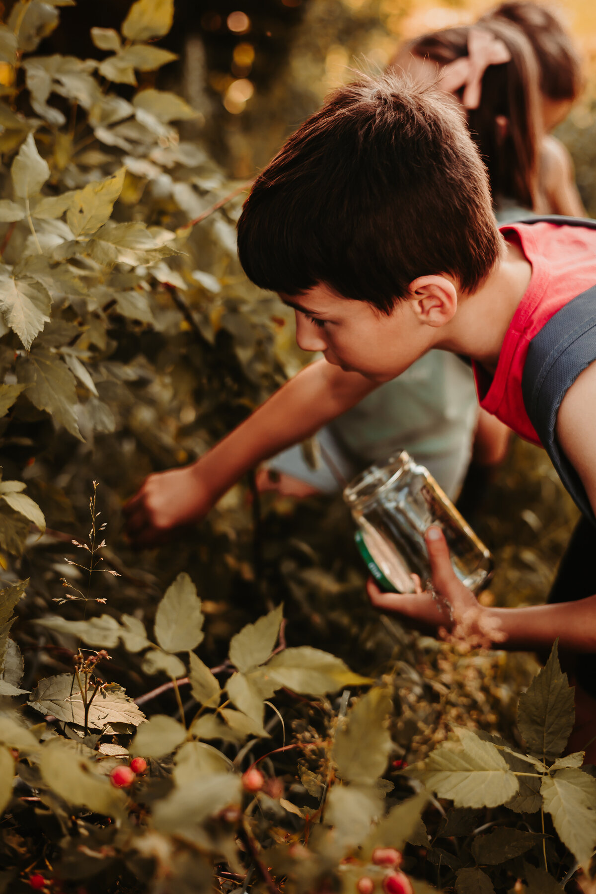 Nature photography - Amanda Nicholle Photography