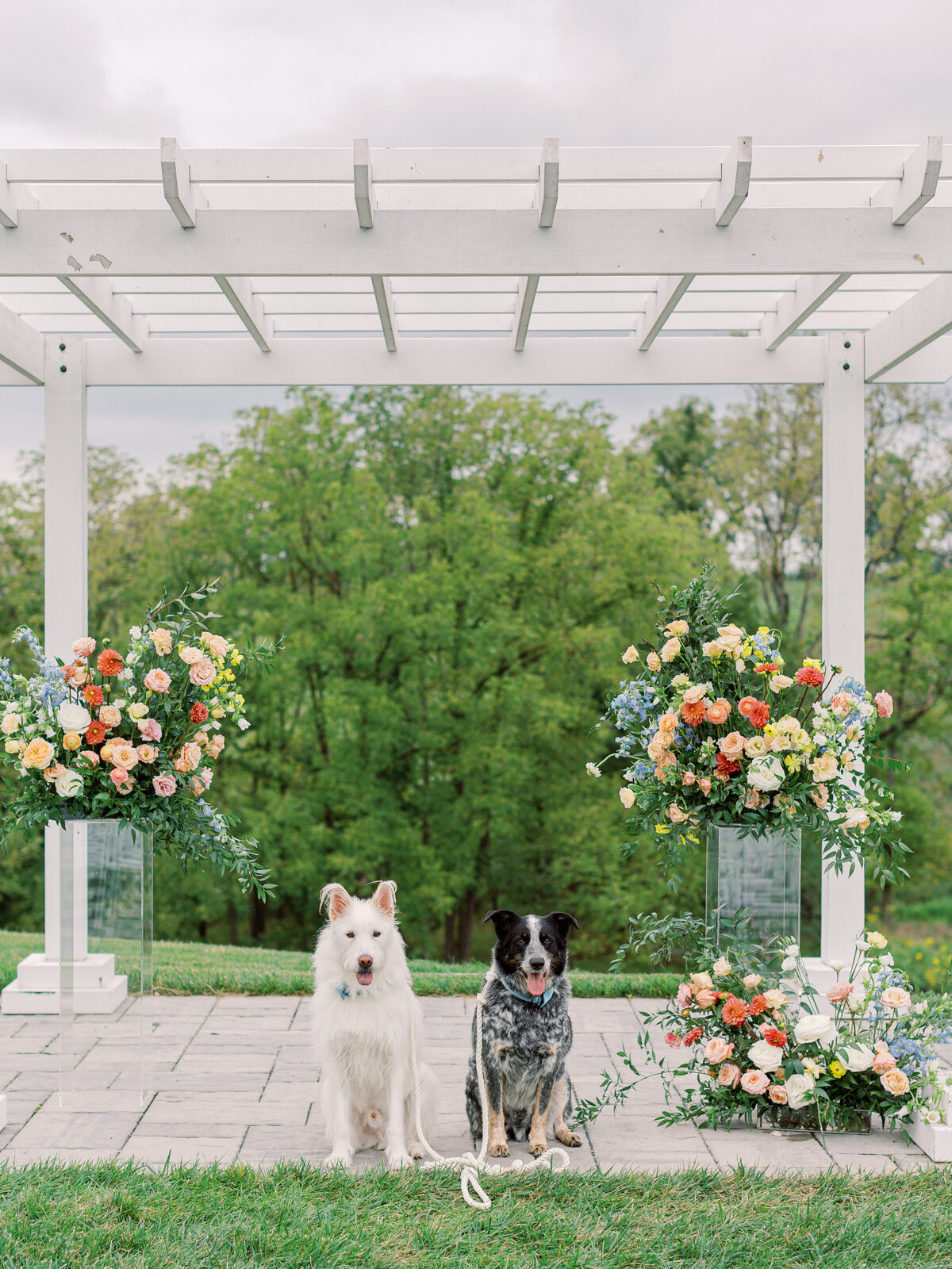 MLP-Jenny-Mike-Barn-at-Willow-Brook-Leesburg-Wedding-Finals-780