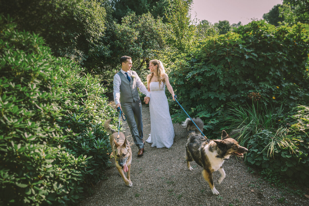 Wedding day couple walking dogs at Goodell Gardens in Edinboro PA.