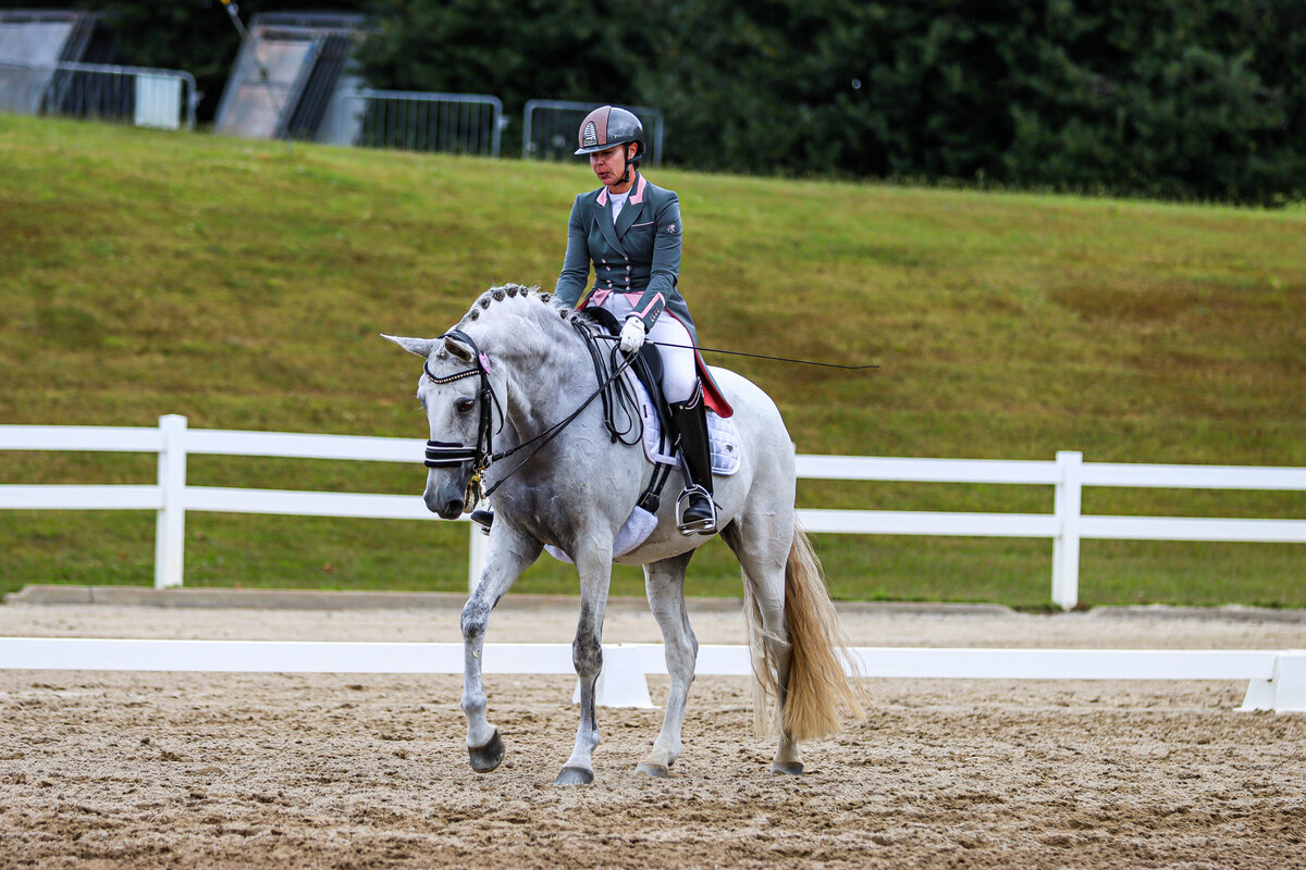 A grey dressage horse doing a free walk during a test in Conyers, GA.
