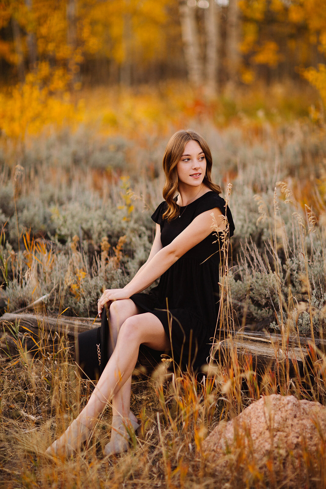 Fort Collins Senior Portraits Photographer Cheyenne Wyoming Colorado Denver Noco Northern Laramie Mountain Portraits Rocky Mountain Liz Osban Photography023