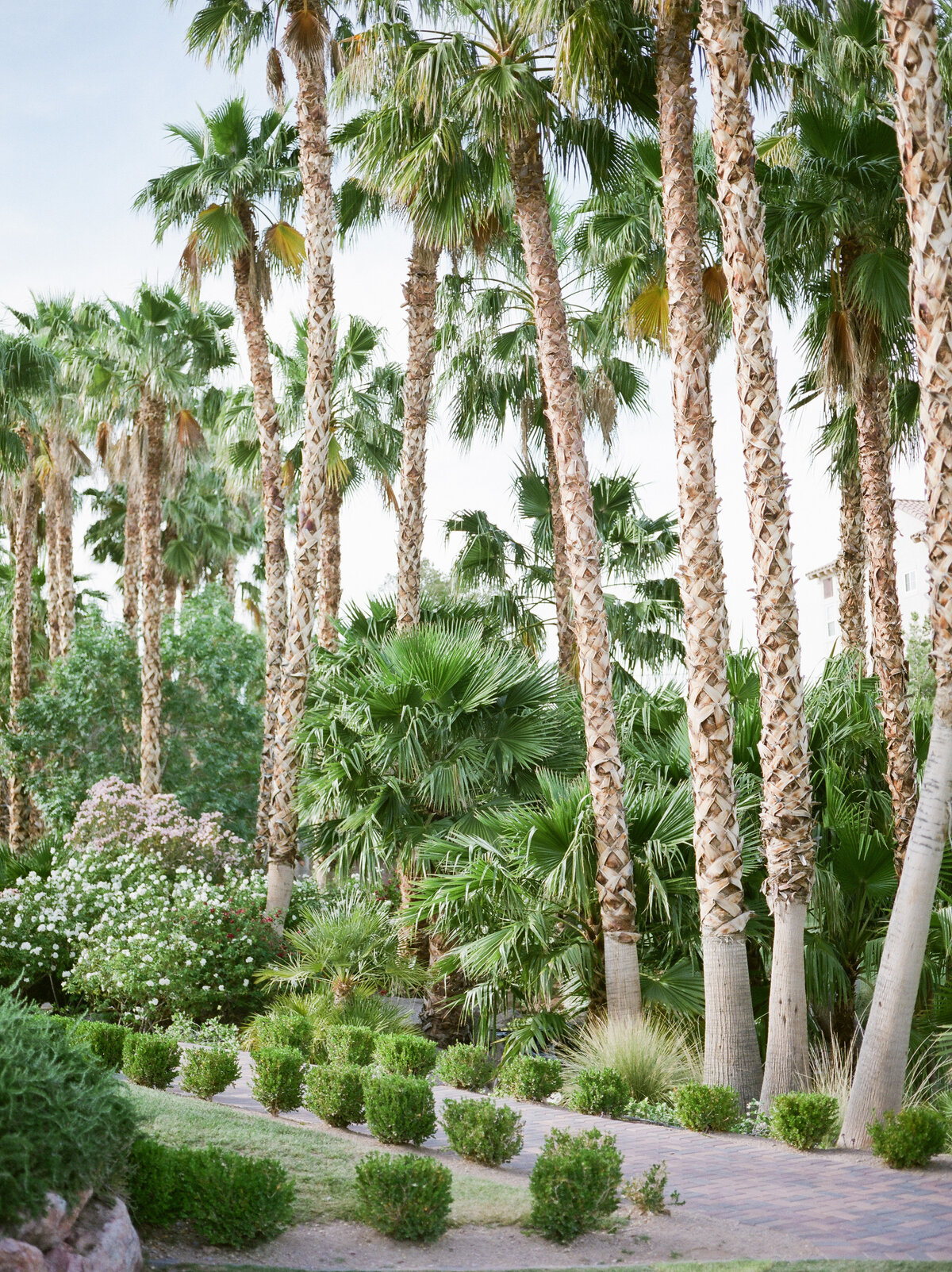 Alexa + Justin Wedding Sneaks (film)-1006