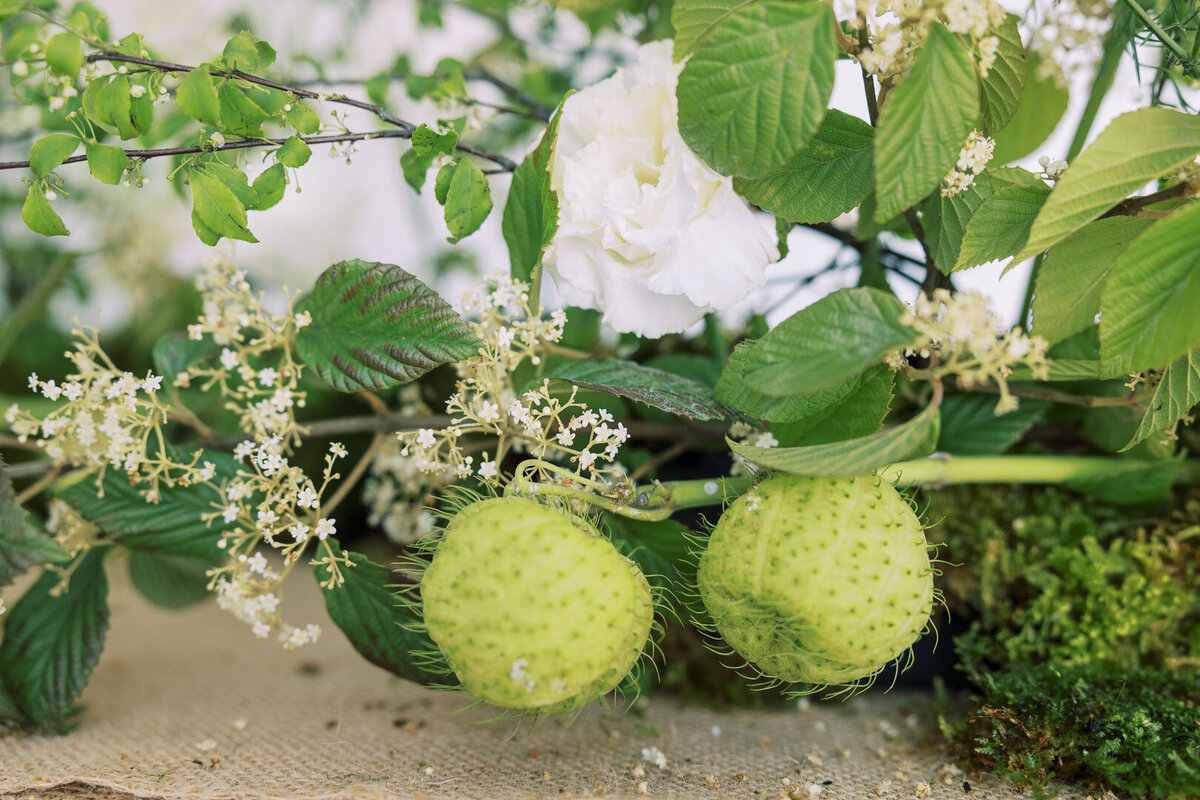 indianapolis wedding florist brand session-12
