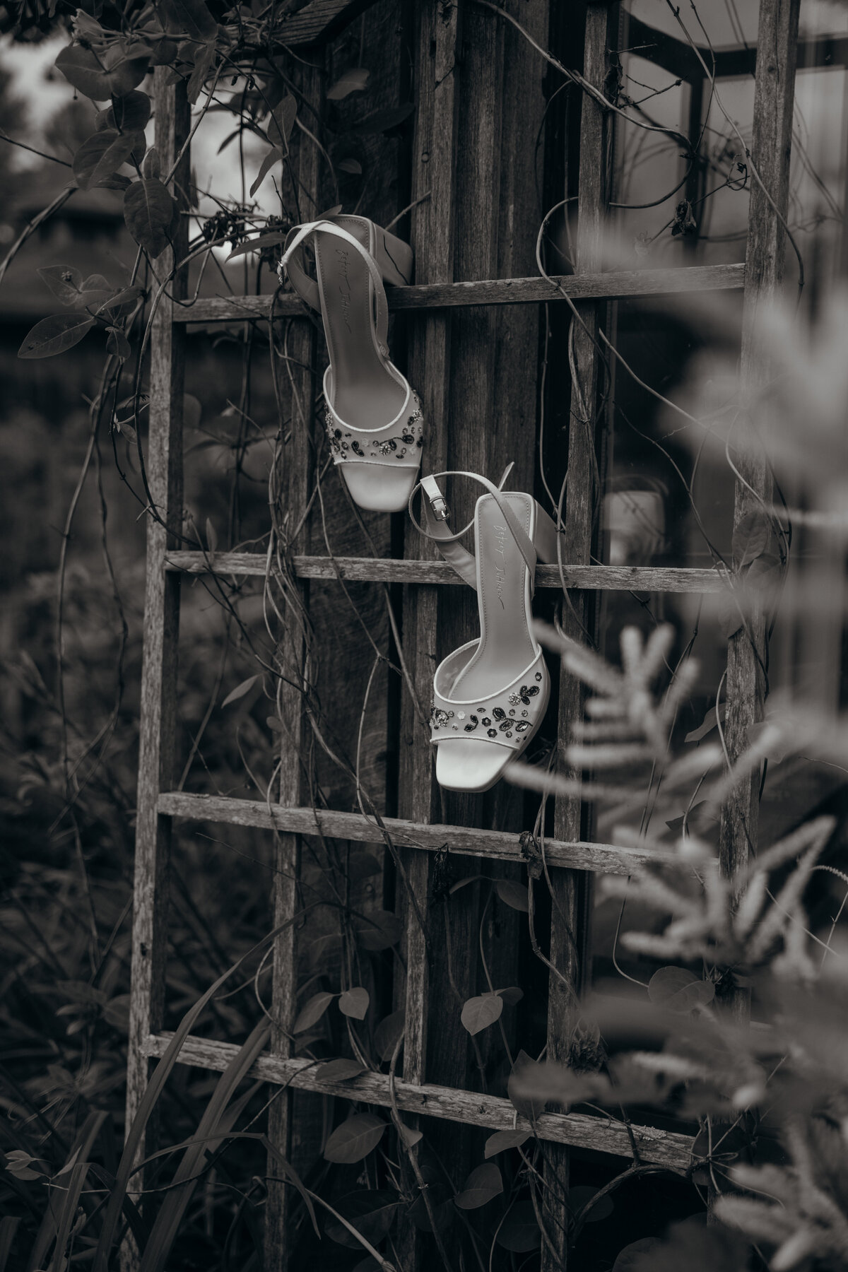 Tamar+RossTeasers-012