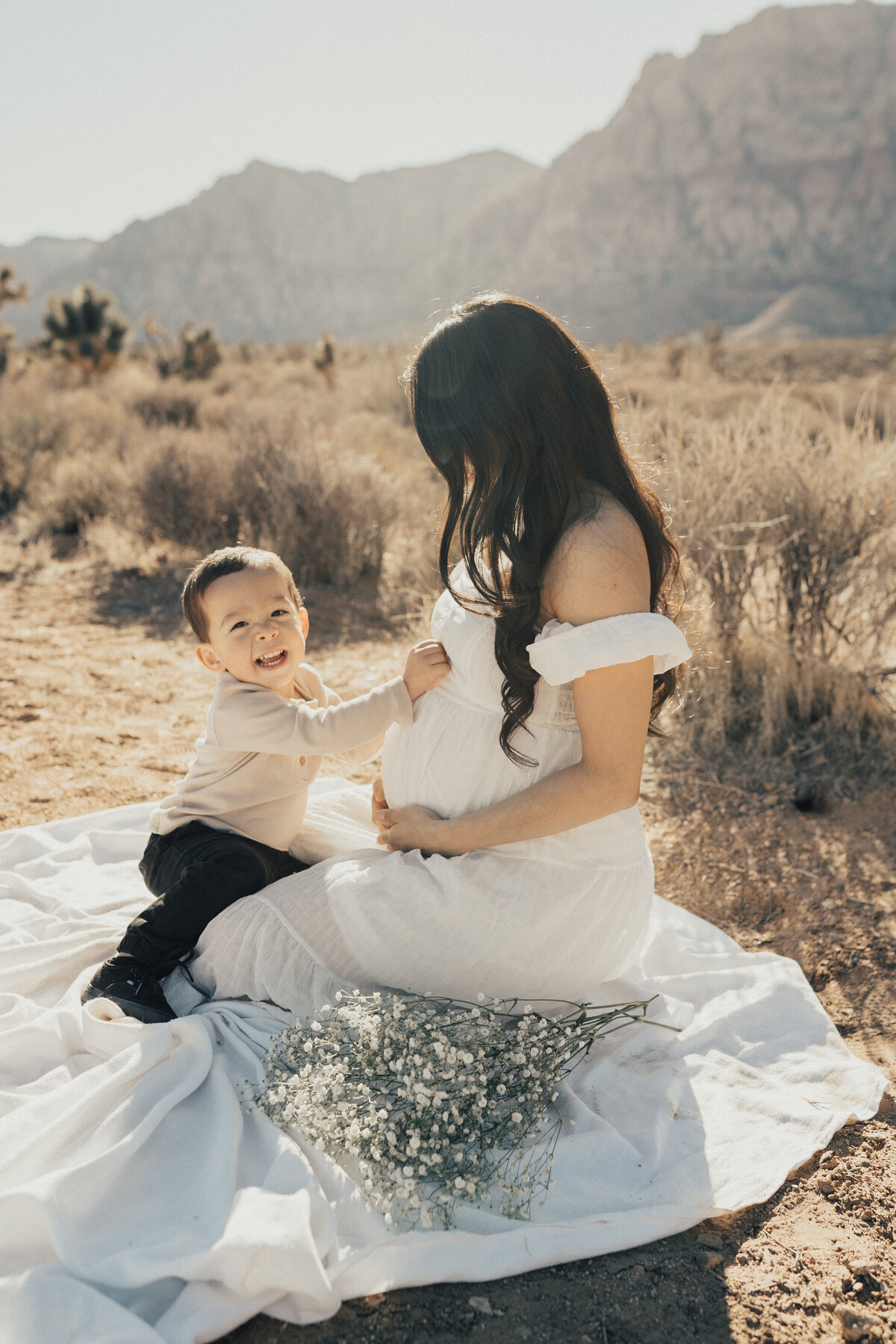 LAS VEGAS MATERNITY PHOTOGRAPHER-5