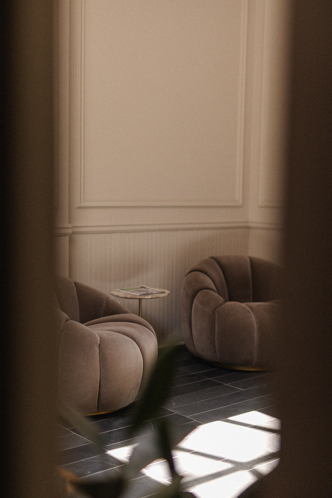 shelby-dubin-interiors4