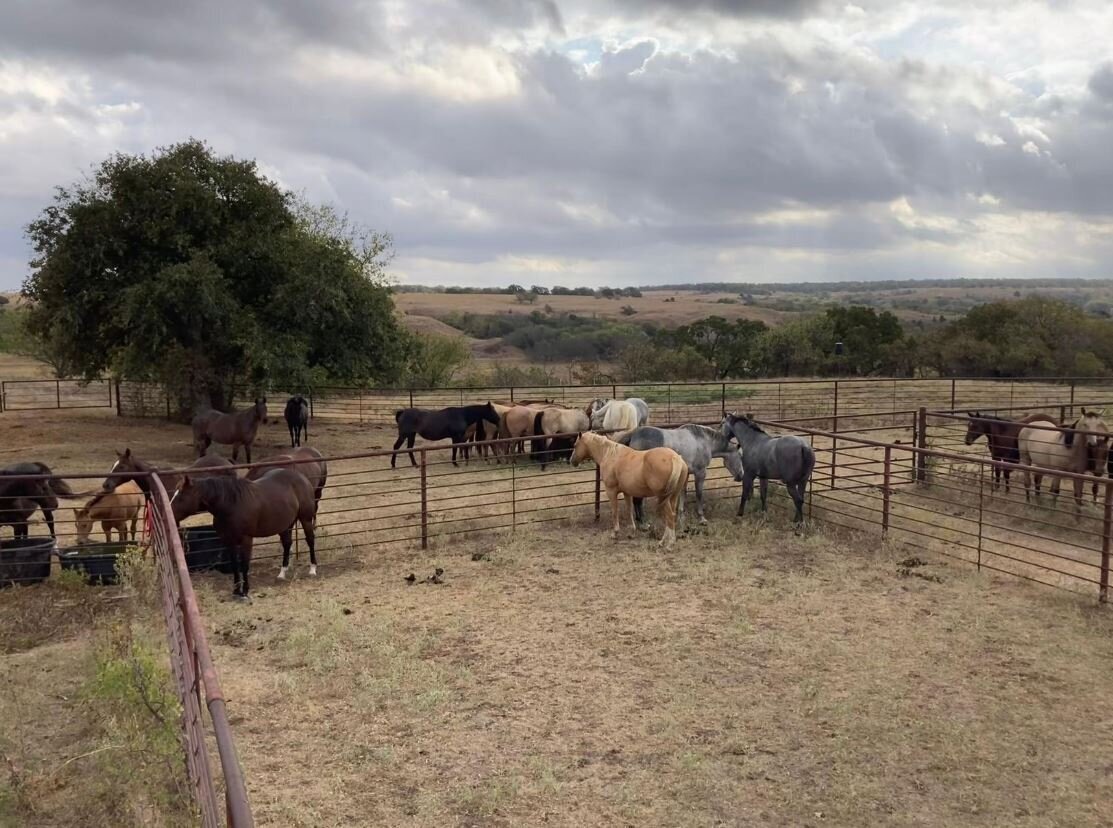 1040 Acre Working Ranch for sale in Duncan, OK - Stevens County