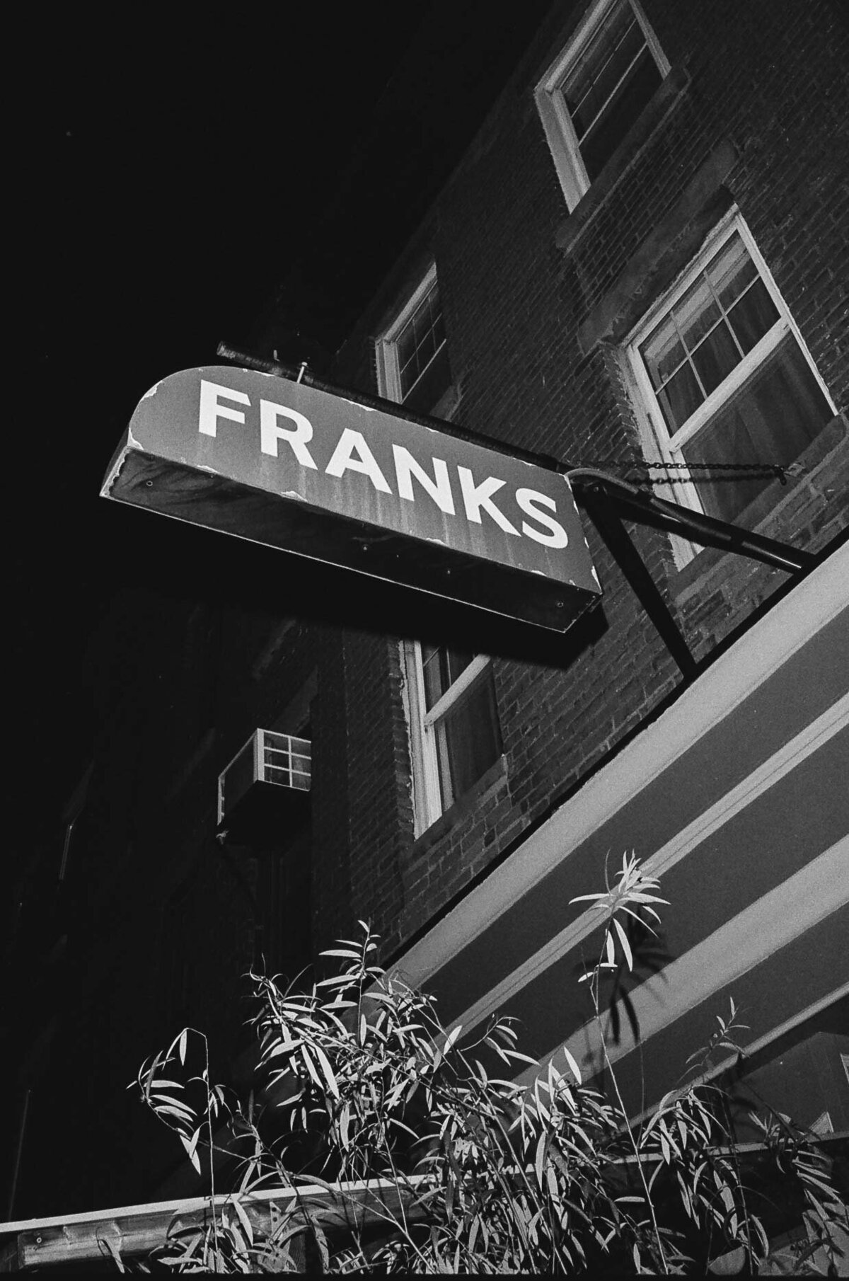 brooklyn-dinner-party-wedding-franks-14