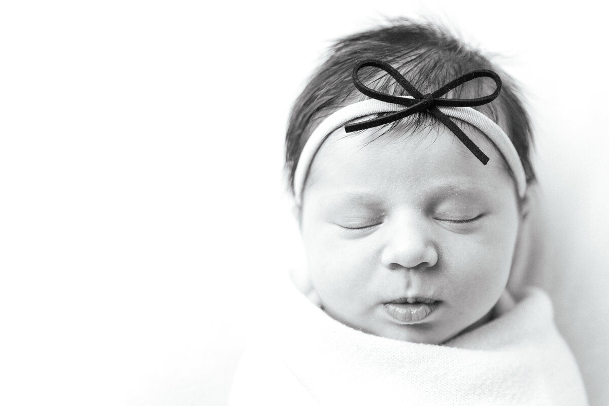 charlotte newborn photography