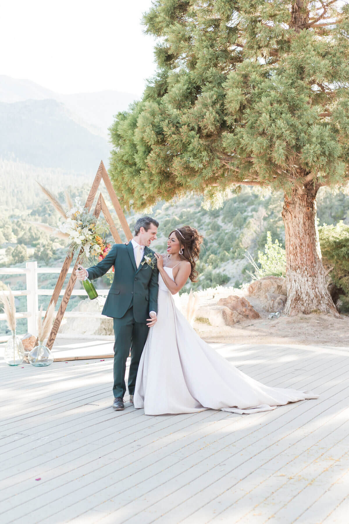 Mount-Charleston-Las-Vegas-Wedding-Photography