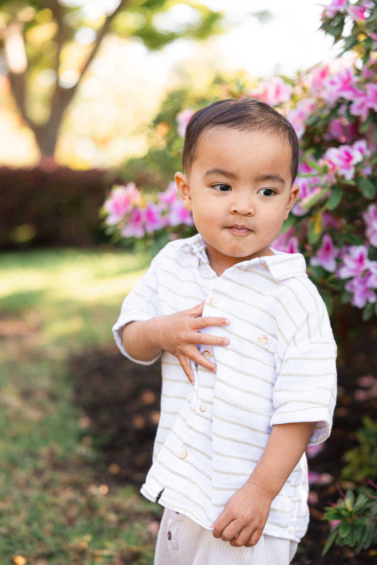 Piedmont Park Japanese Teahouse_Bay Area Family Photography_Valarie Duran Photography-7778