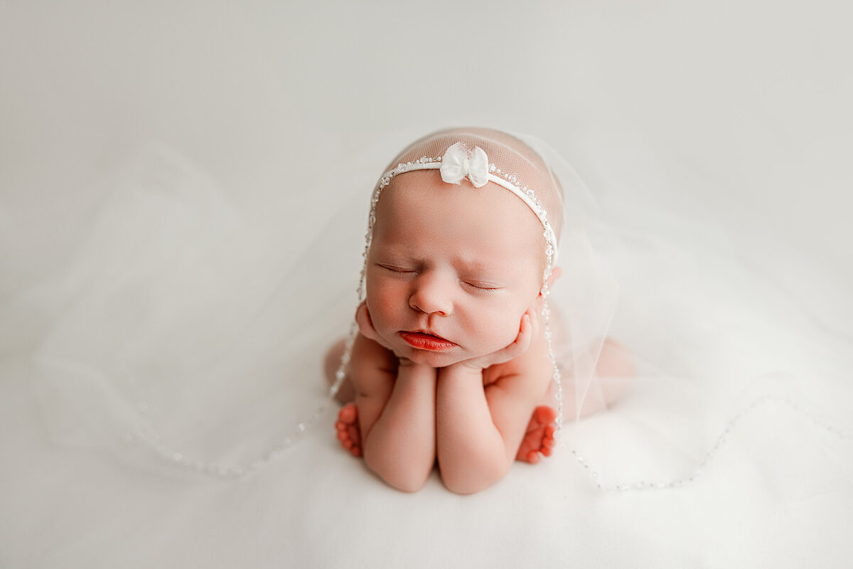 newborn photography huntsville al