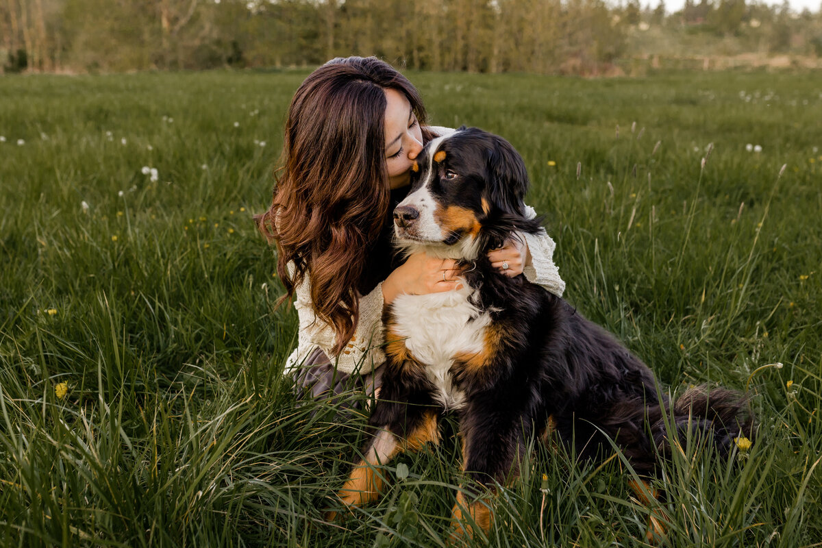 women snuggling her bernese mountain dog