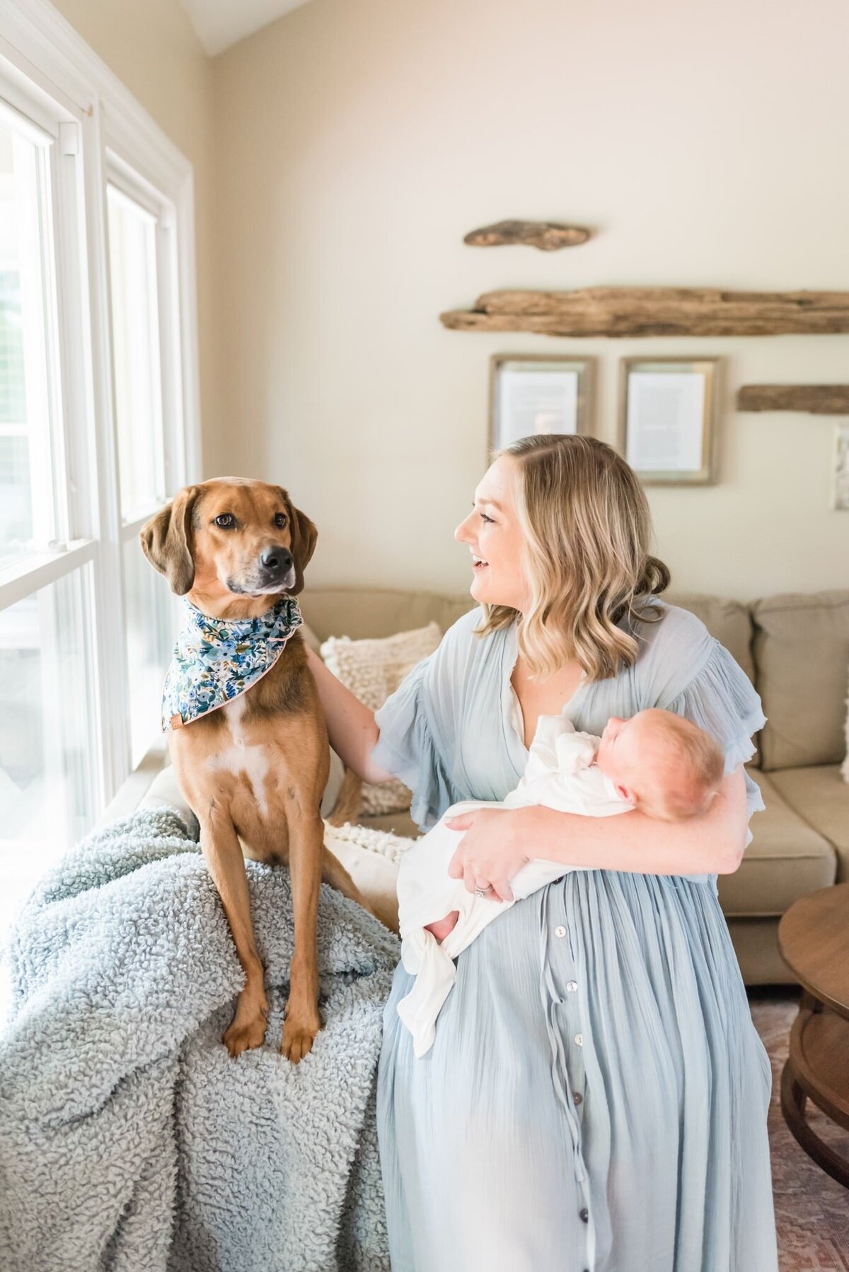 Blue-and-white-in-home-newborn-photoshoot-in-Franklin-TN (6)