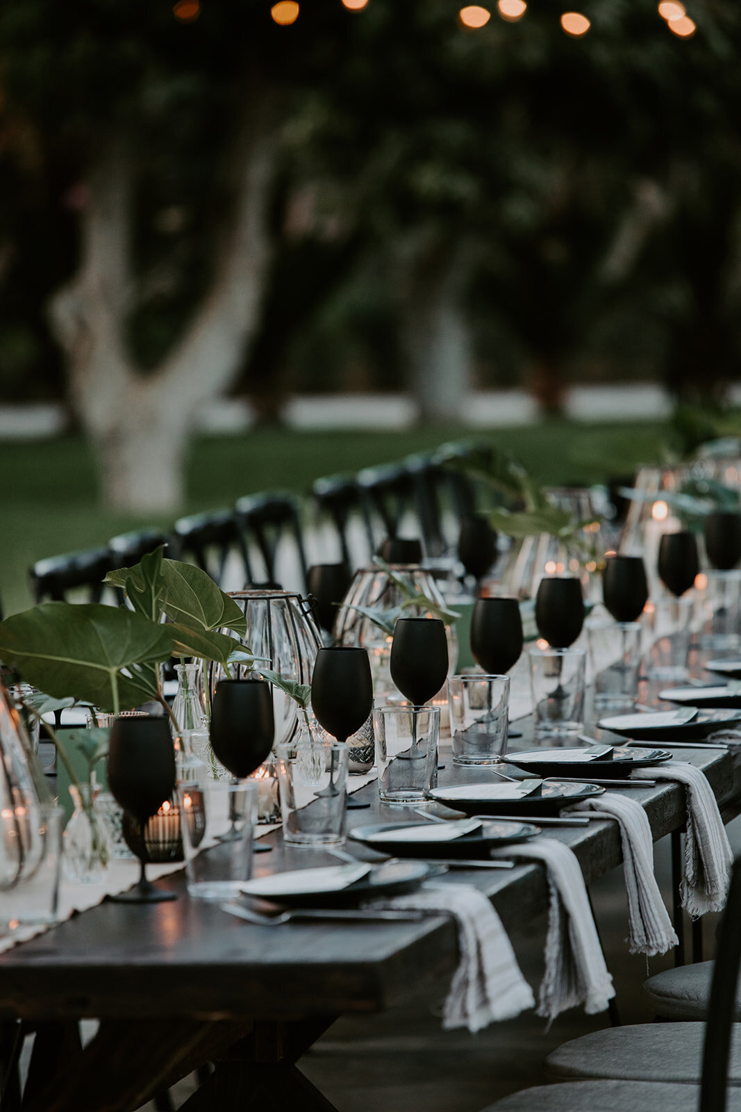 cabo-wedding-6