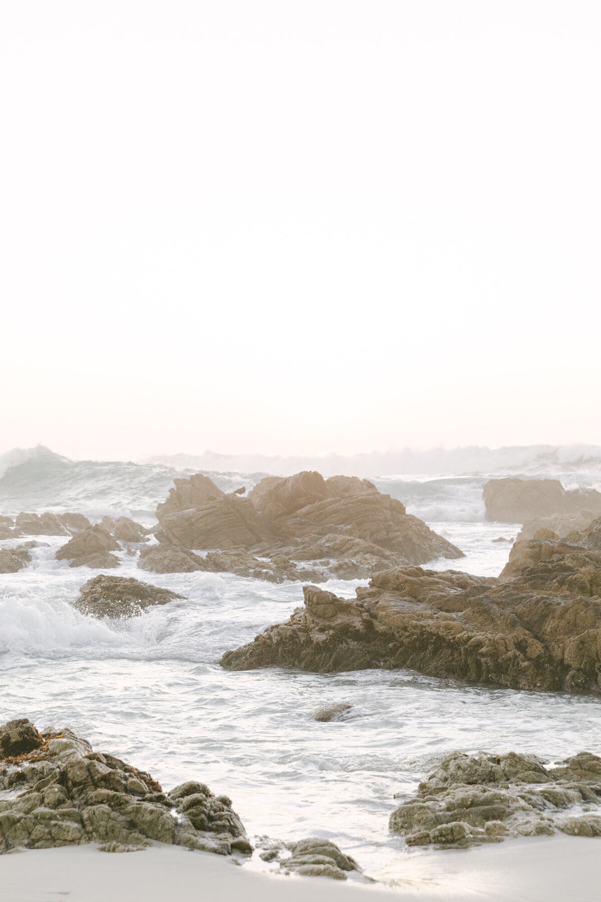 PERRUCCIPHOTO_PEBBLE_BEACH_FAMILY_MATERNITY_SESSION_121