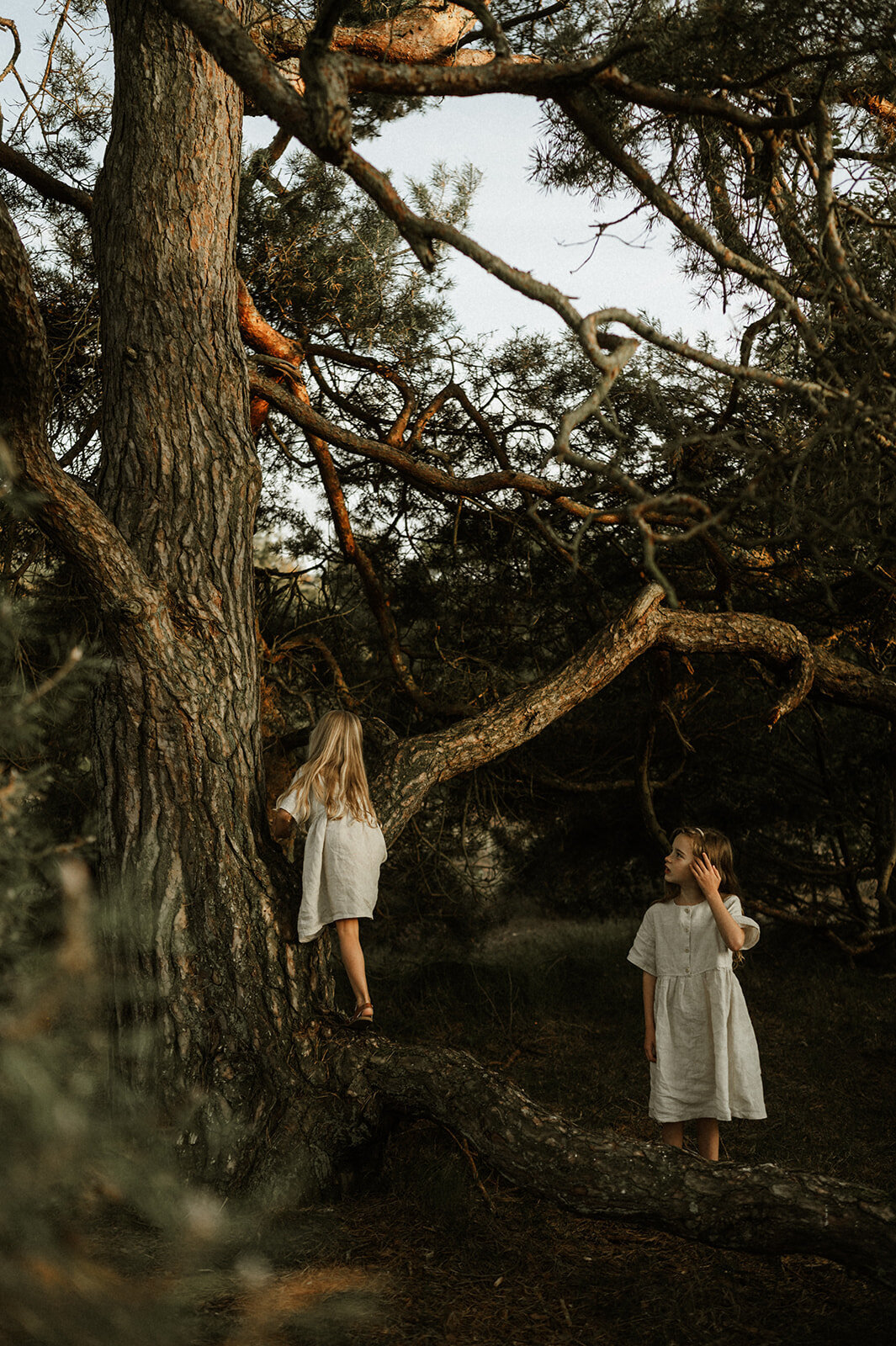 Gezinsfotografie in Nijlen tijdens golden hour – pure, spontane momenten vastgelegd in de heide.