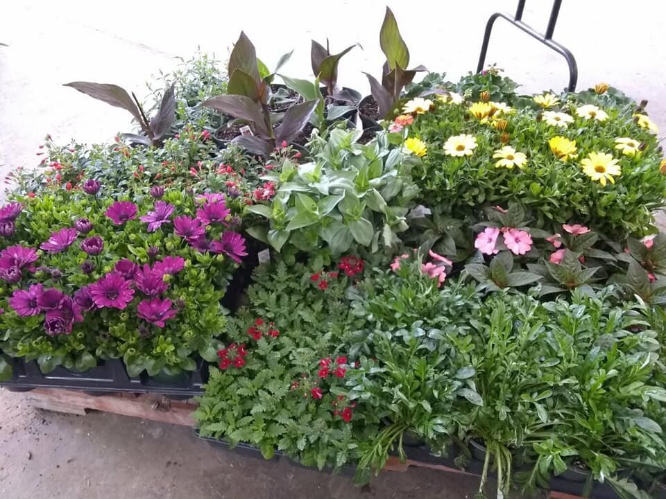 Farmhouse Style Decorating In Swanzey, NH The She Shed