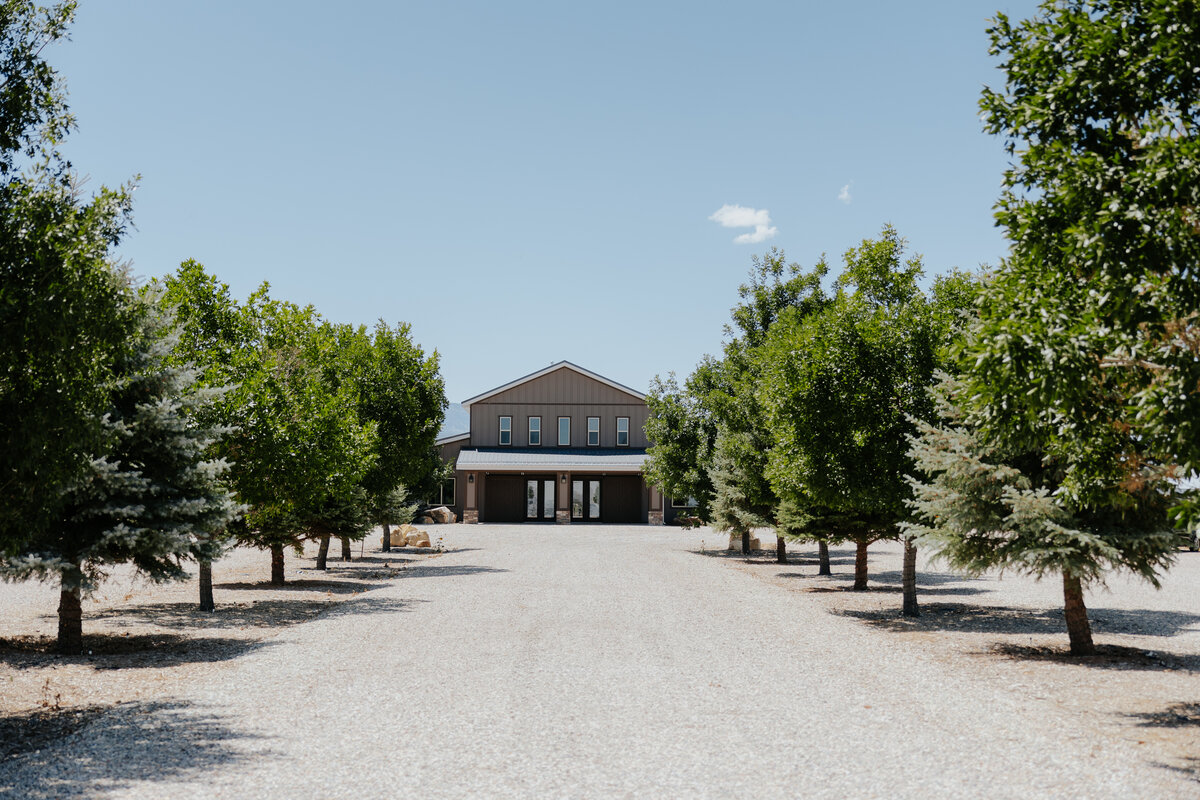 Tree-lined drive leading to the barn